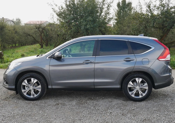 Honda CR-V cena 67900 przebieg: 147197, rok produkcji 2013 z Tarnogród małe 781